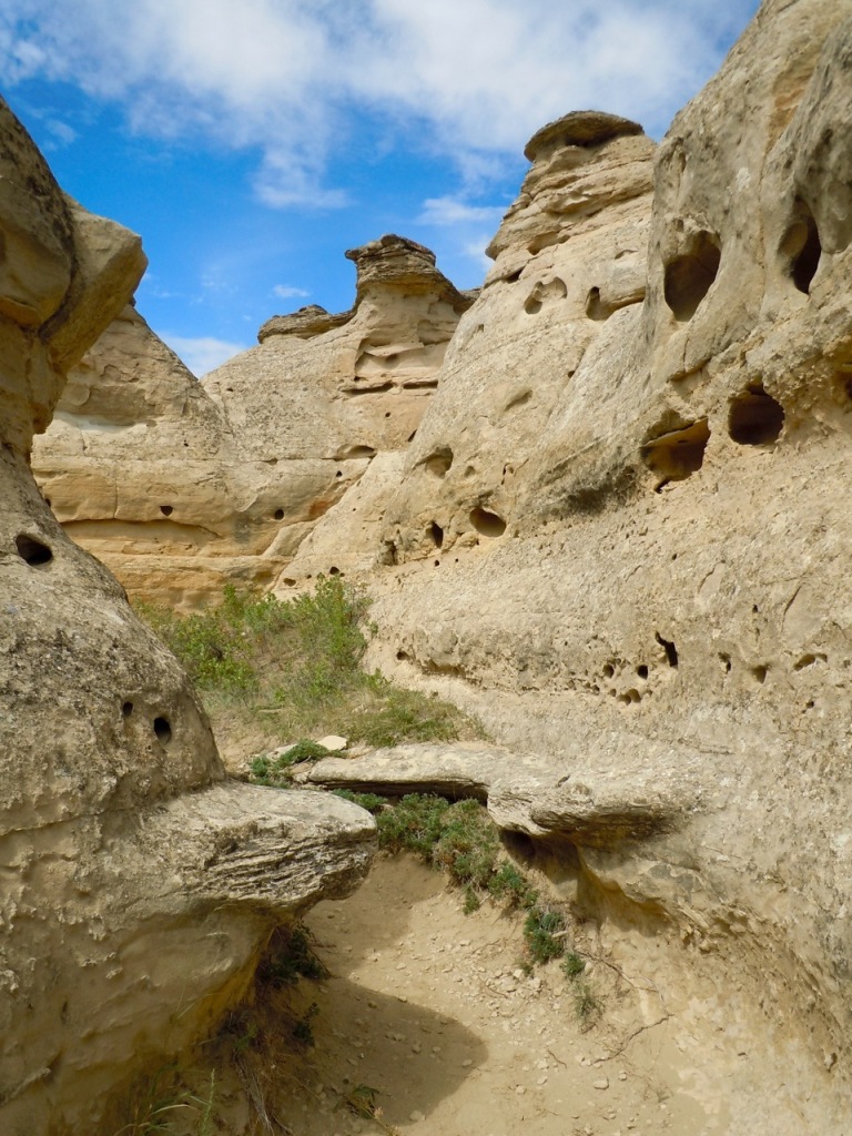 Walking through a maze of hoodoos in Writing-on-Stone Provincial Park, Alberta, Canada. Photo by Rodney Steadman.